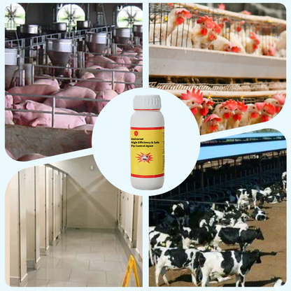 Universal High-Efficiency and Safe Fly Control Agent (BUY 1 GET 1 FREE)