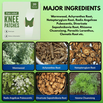 Herbal Knee Pain Relief Patches + FREE Herbal Oil Bottle