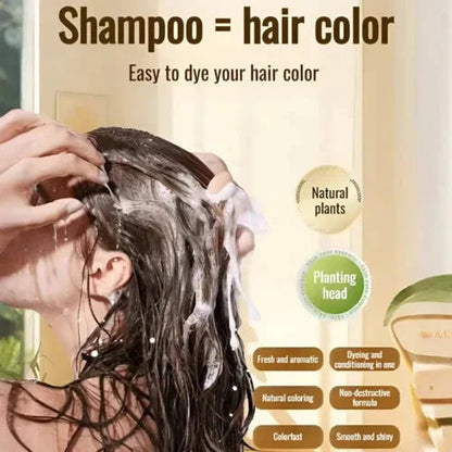 ✨Japanese Long Lasting Natural Hair Dye Shampoo (Buy 1 Get 1 Free)
